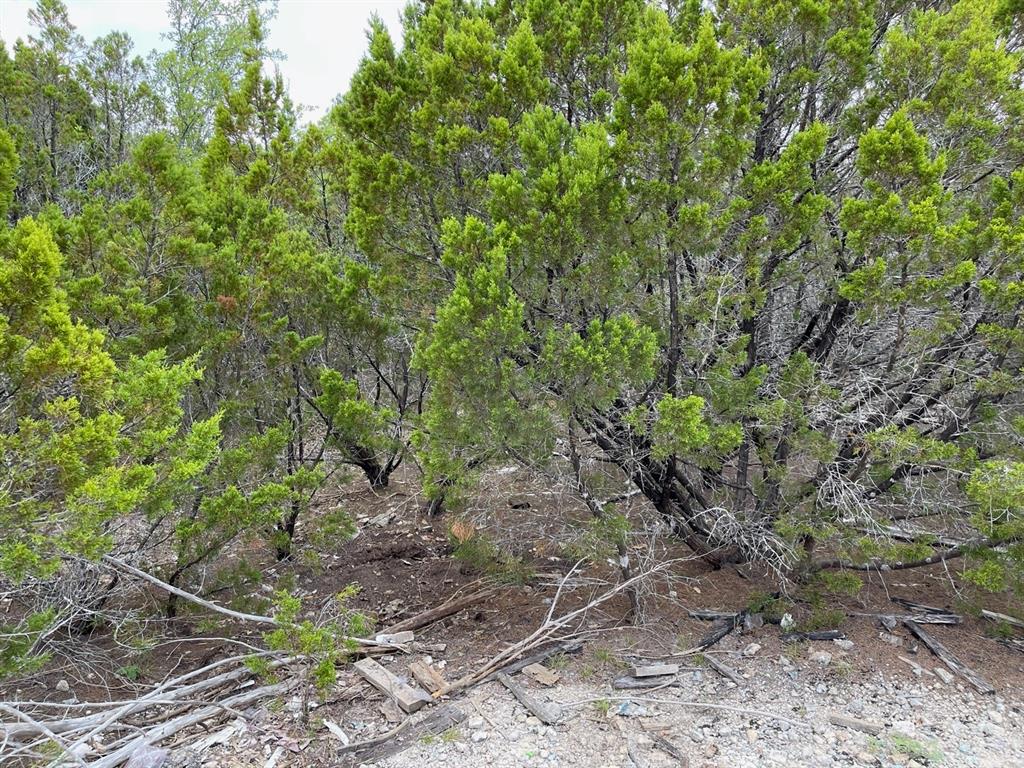 Dillon Drive, Copperas Cove, Texas image 11