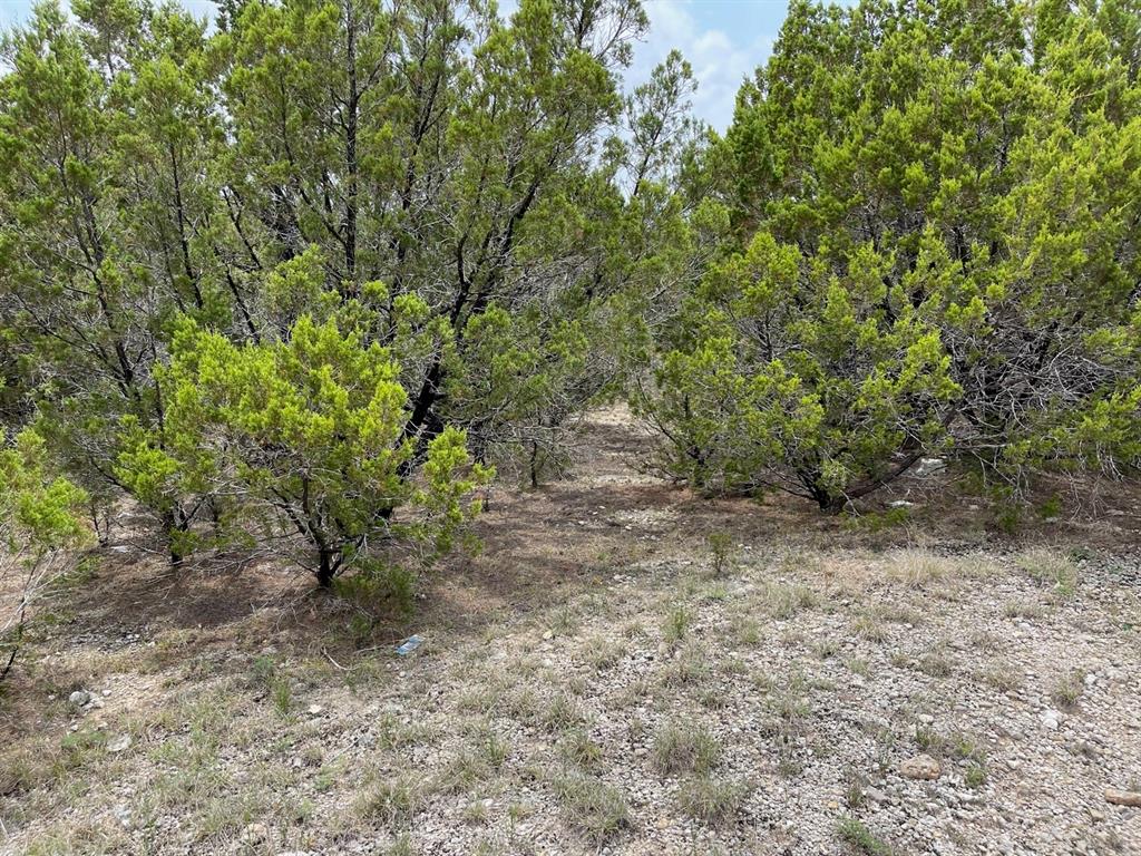 Dillon Drive, Copperas Cove, Texas image 5