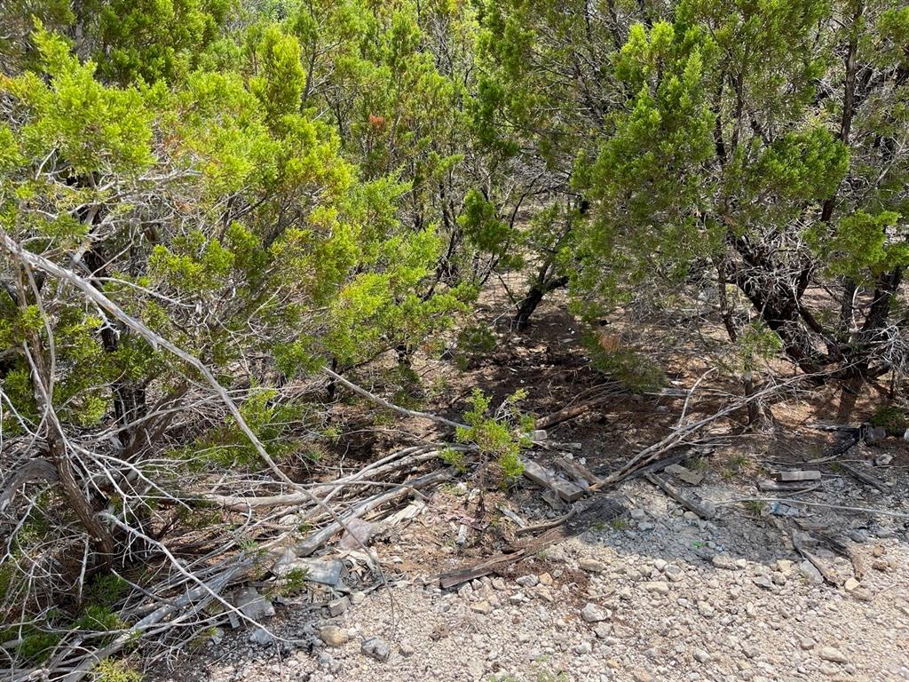 Dillon Drive, Copperas Cove, Texas image 3