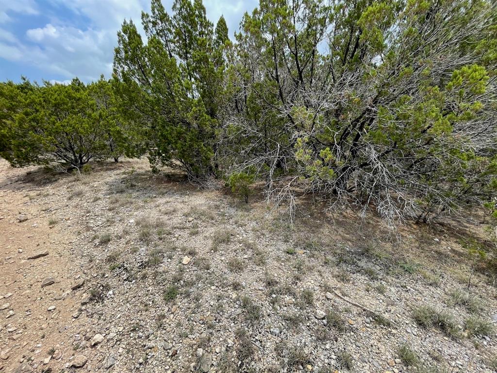 Dillon Drive, Copperas Cove, Texas image 1