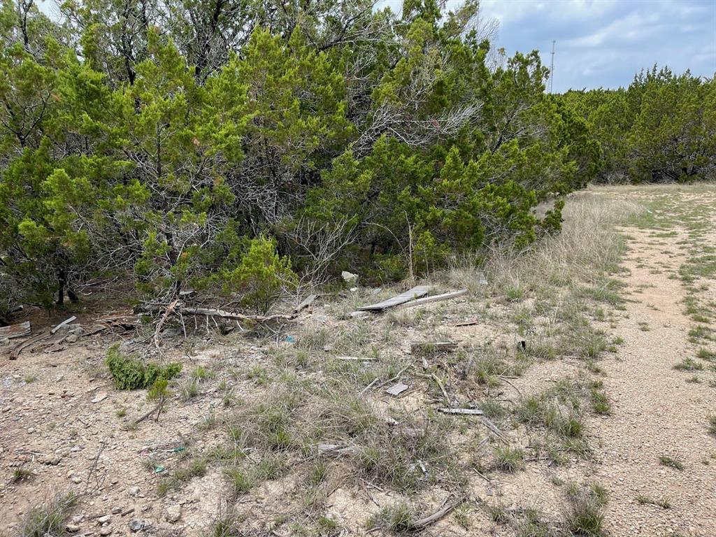 Dillon Drive, Copperas Cove, Texas image 6