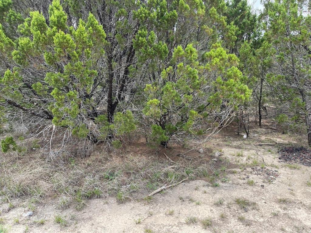 Dillon Drive, Copperas Cove, Texas image 10