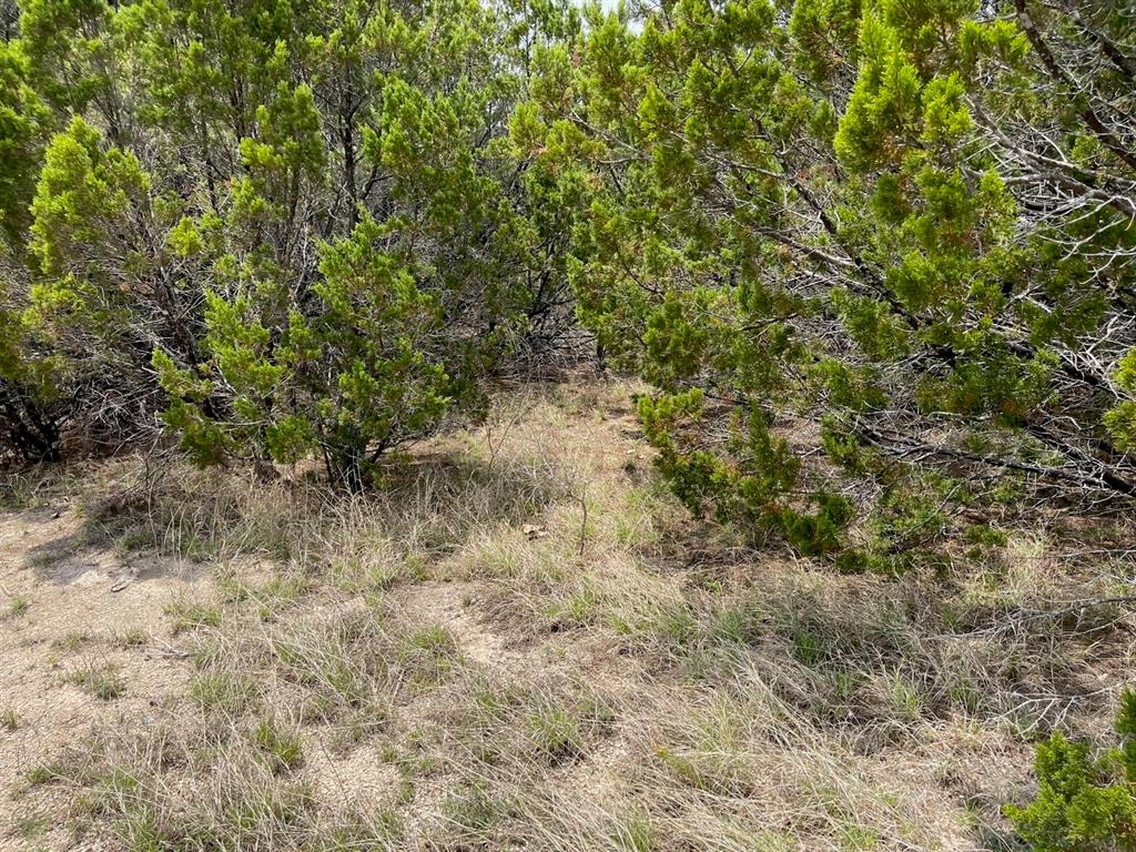 Dillon Drive, Copperas Cove, Texas image 9