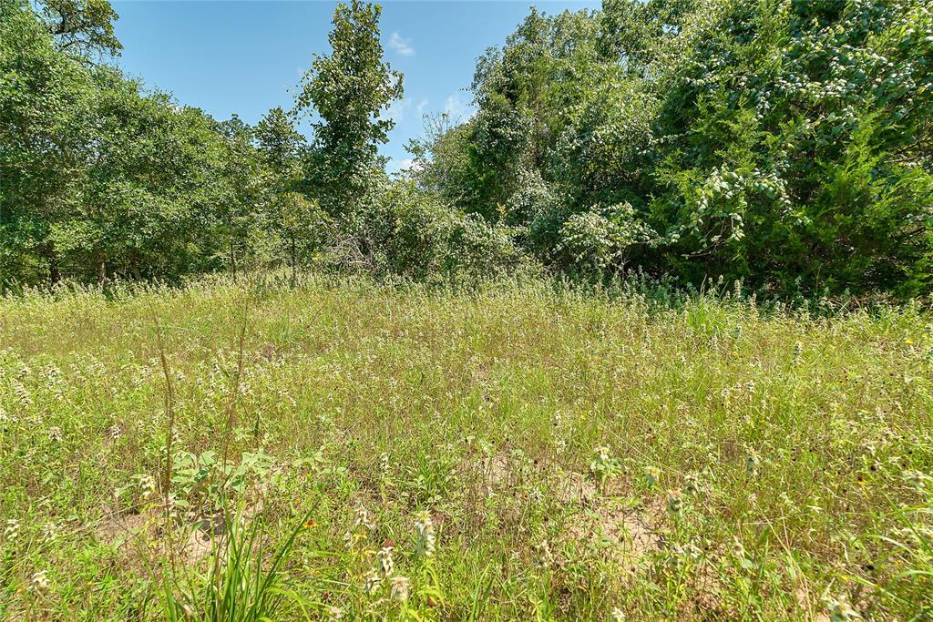 Parcel 19231 County Road 215, Weimar, Texas image 32