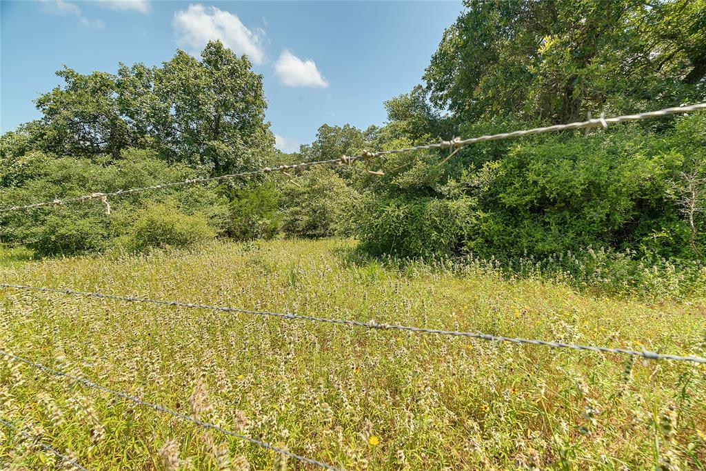 Parcel 19231 County Road 215, Weimar, Texas image 9