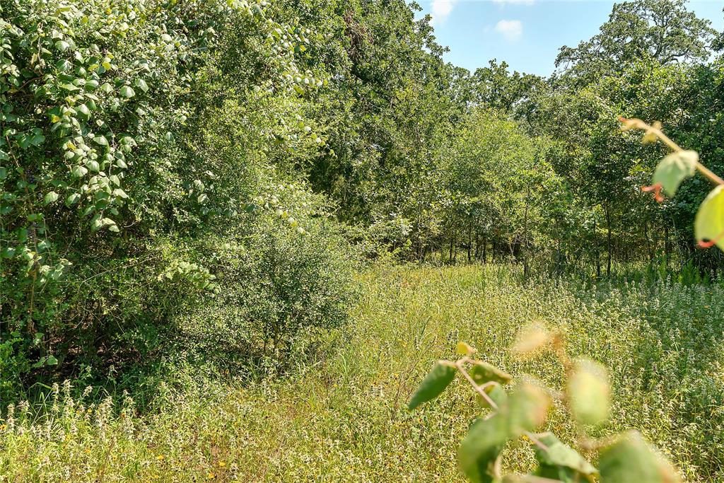 Parcel 19231 County Road 215, Weimar, Texas image 39