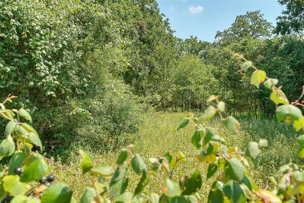 Parcel 19231 County Road 215, Weimar, Texas image 35