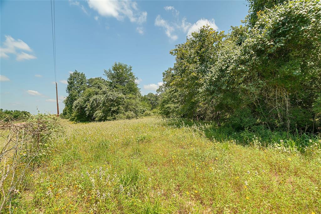 Parcel 19231 County Road 215, Weimar, Texas image 13