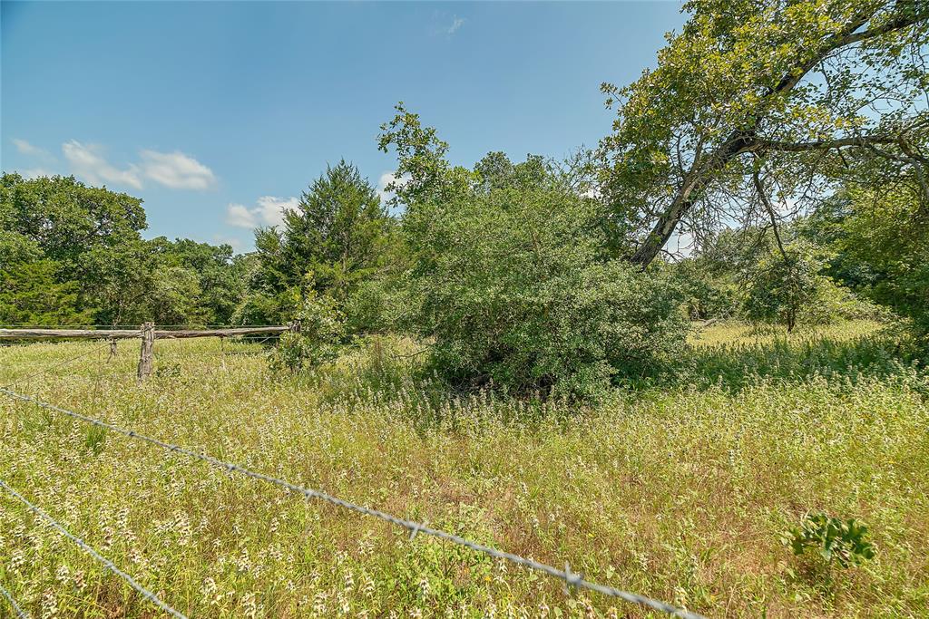 Parcel 19231 County Road 215, Weimar, Texas image 18