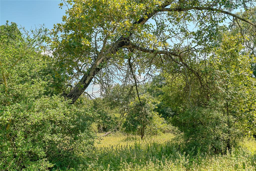 Parcel 19231 County Road 215, Weimar, Texas image 17