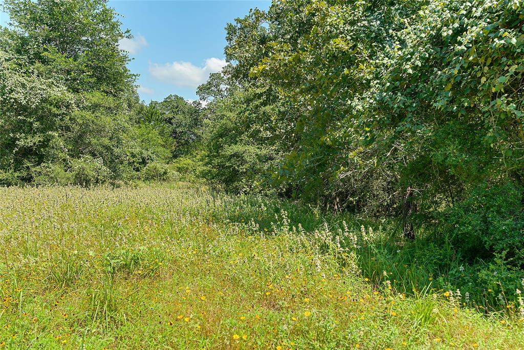 Parcel 19231 County Road 215, Weimar, Texas image 14