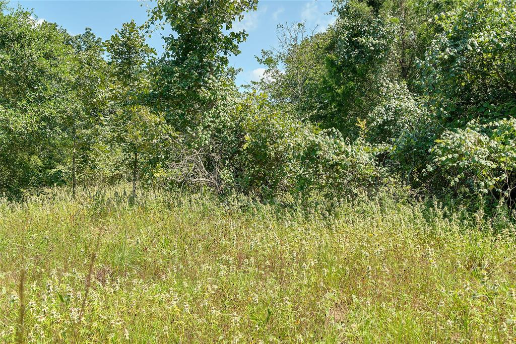 Parcel 19231 County Road 215, Weimar, Texas image 33