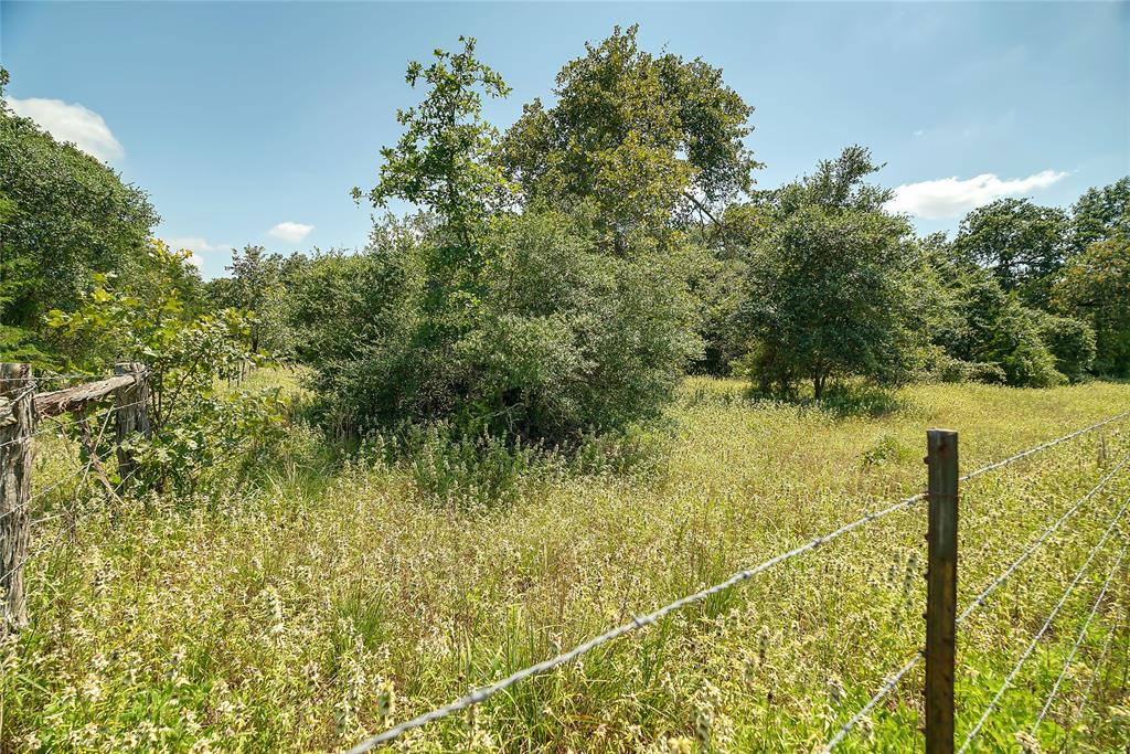 Parcel 19231 County Road 215, Weimar, Texas image 20