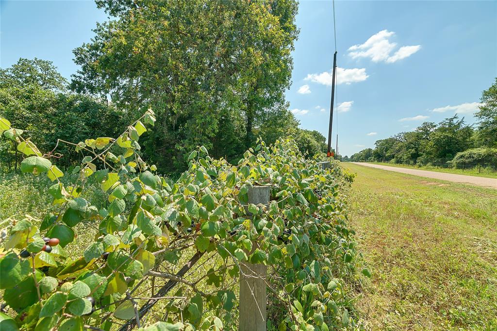 Parcel 19231 County Road 215, Weimar, Texas image 37