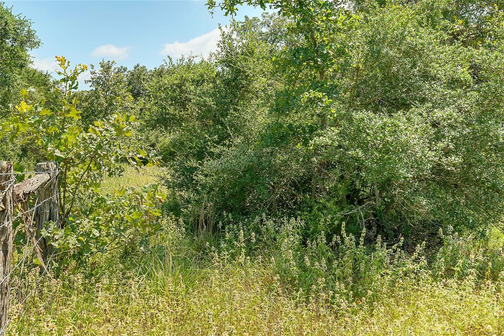 Parcel 19231 County Road 215, Weimar, Texas image 16