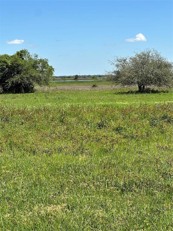 TBD Teal Ln, Columbus, Texas image 6