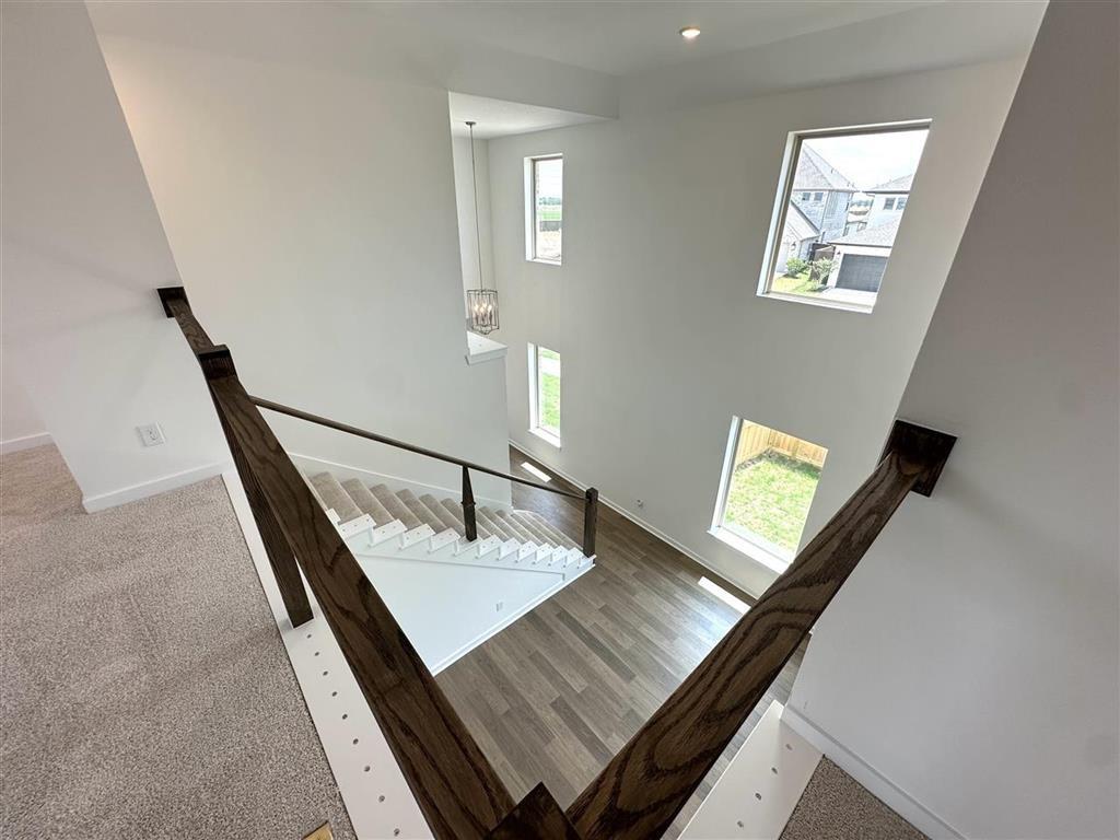 438 Big Pine Trail, Rosenberg, Texas image 11