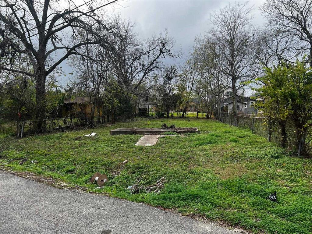 2703 Wayne Street, Houston, Texas image 2