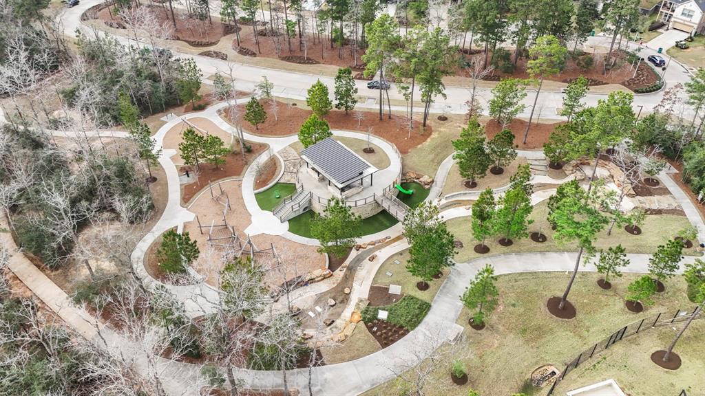 414 Soapberry Tree Court, Willis, Texas image 46