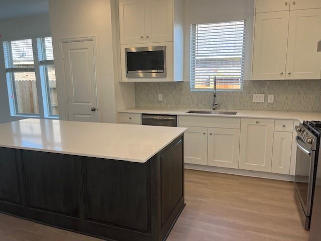 2426 Phantom Quartz Lane, Rosharon, Texas image 3