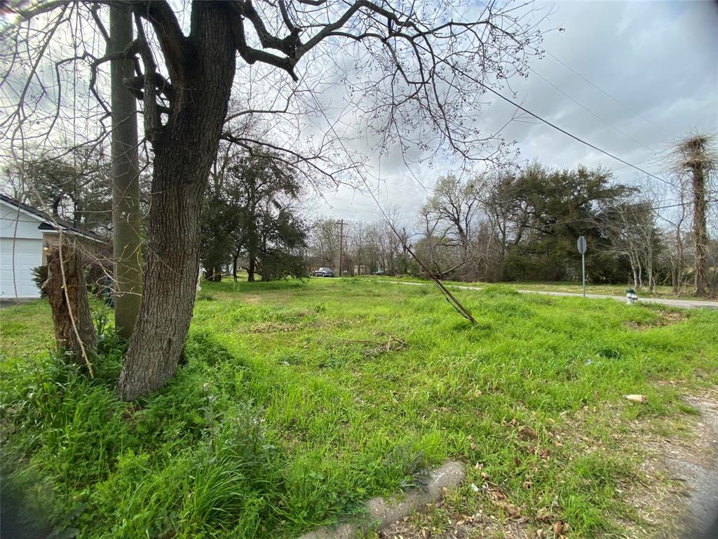 Lincoln Street, Beaumont, Texas image 3