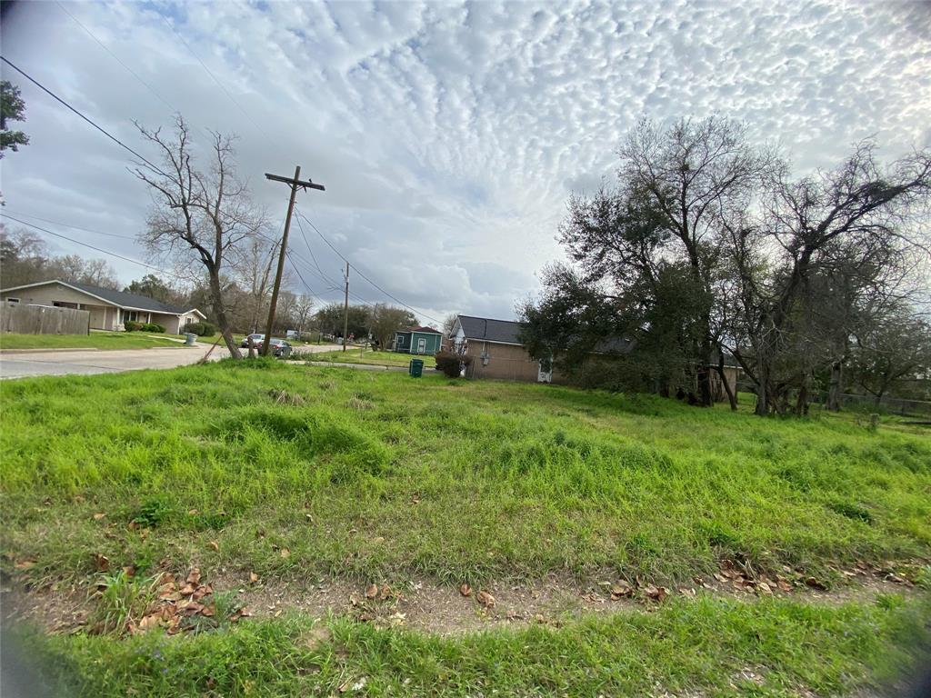 Lincoln Street, Beaumont, Texas image 4