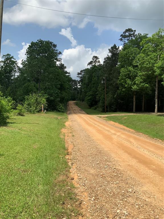 208 Gordon Drive, Livingston, Texas image 3