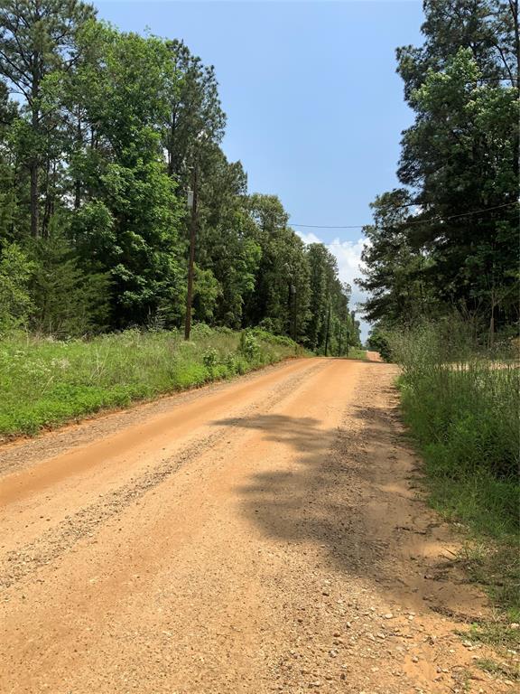 208 Gordon Drive, Livingston, Texas image 2
