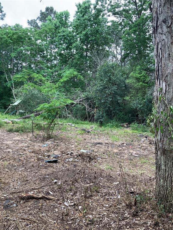 208 Gordon Drive, Livingston, Texas image 20