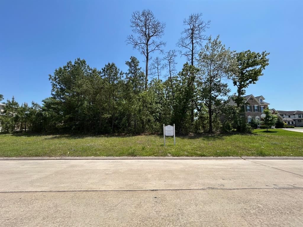 121 Kings Lake Estates Boulevard, Humble, Texas image 1