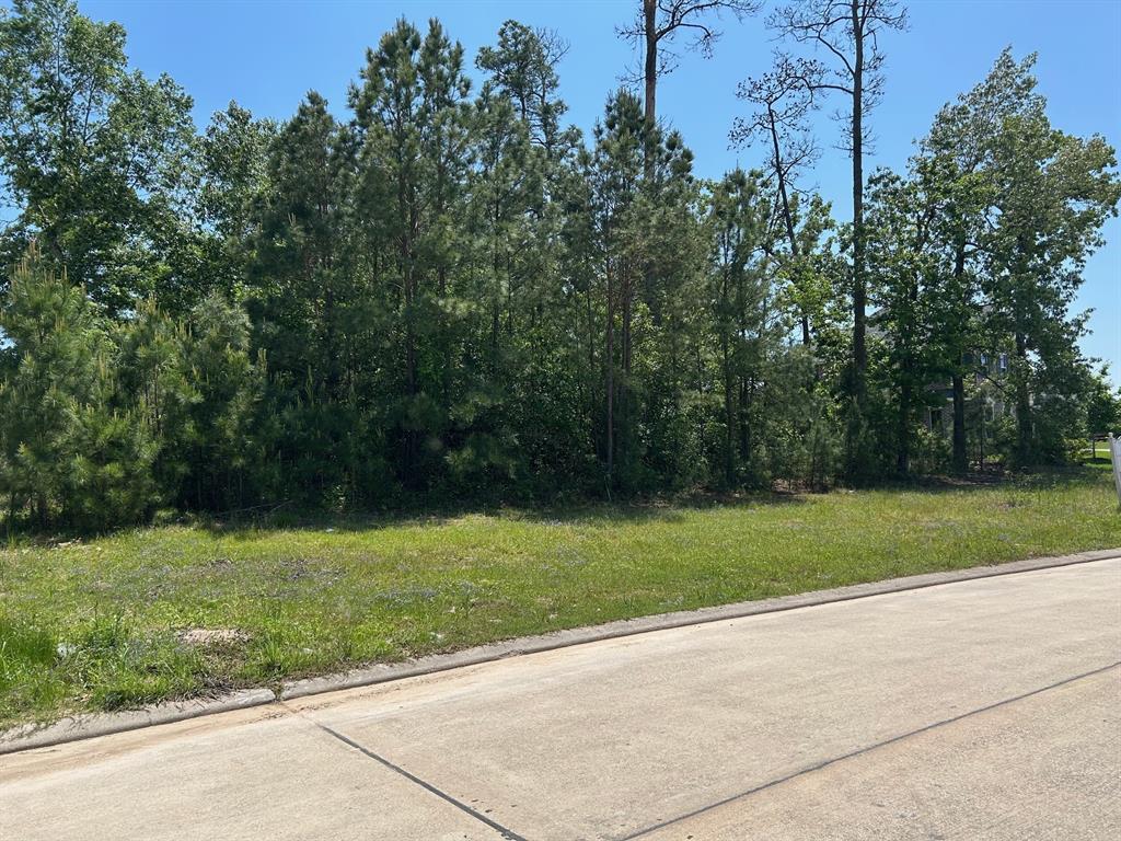 121 Kings Lake Estates Boulevard, Humble, Texas image 2