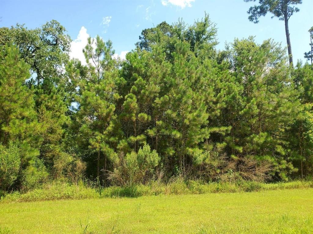 121 Kings Lake Estates Boulevard, Humble, Texas image 3