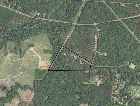 Vacant Land For Sale - TRACT 3 STRICKLAND Fox Hunting Rd<br/> Harrison County, Waskom, TX 75962