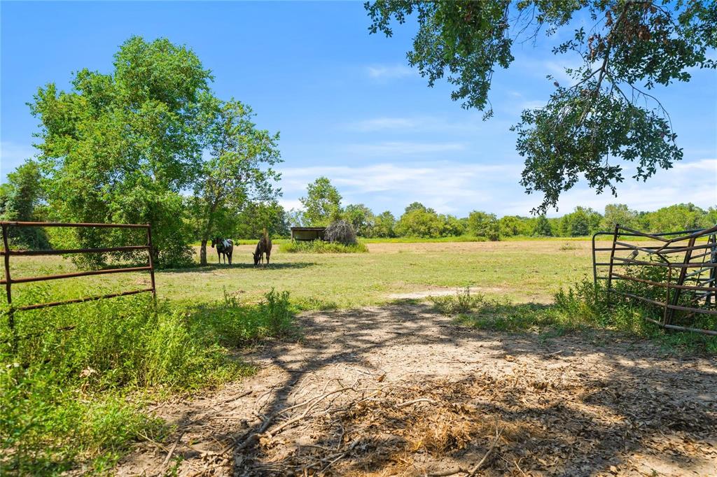 855 County Road 15, Damon, Texas image 6