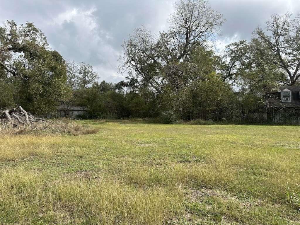 3500 Beaver Creek Drive, Pattison, Texas image 5