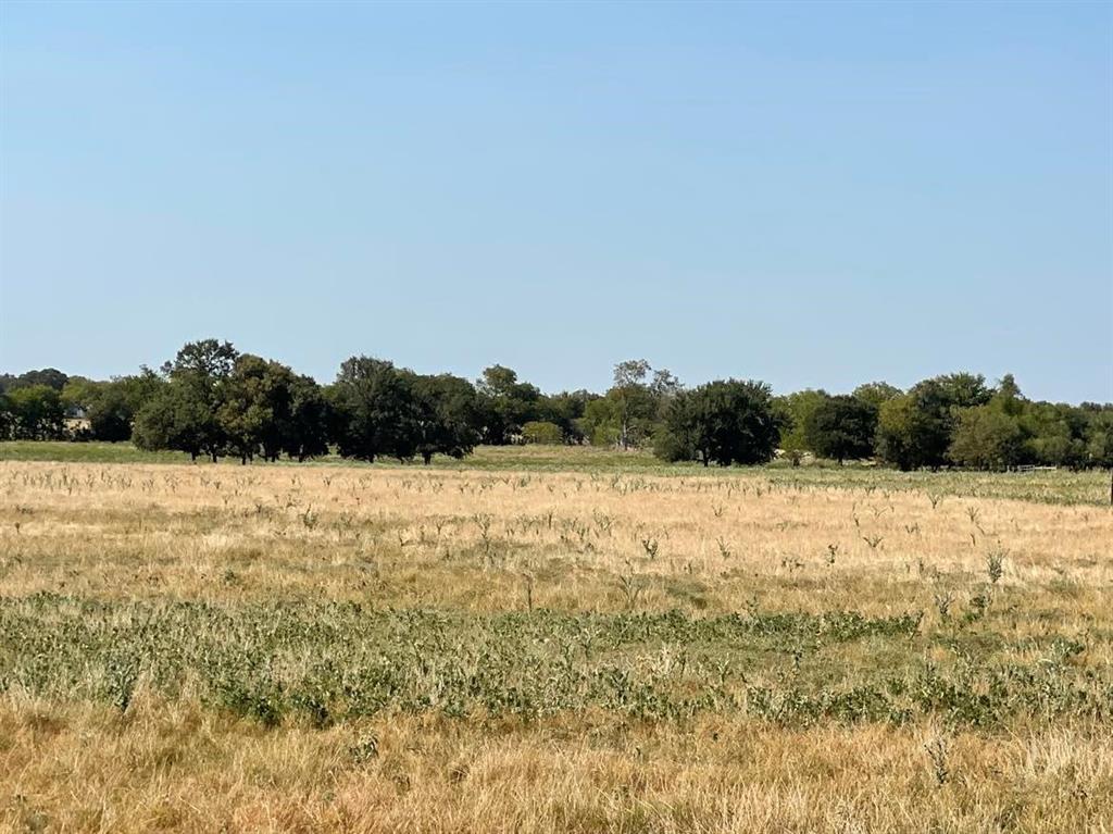 TBD Hwy 7, Marlin, Texas image 4