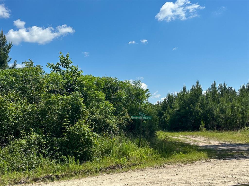 36 Westville Road, Groveton, Texas image 6