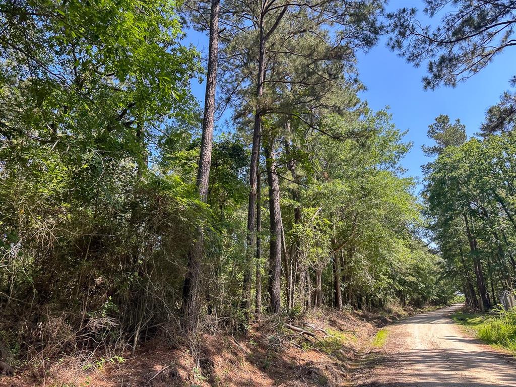36 Westville Road, Groveton, Texas image 3