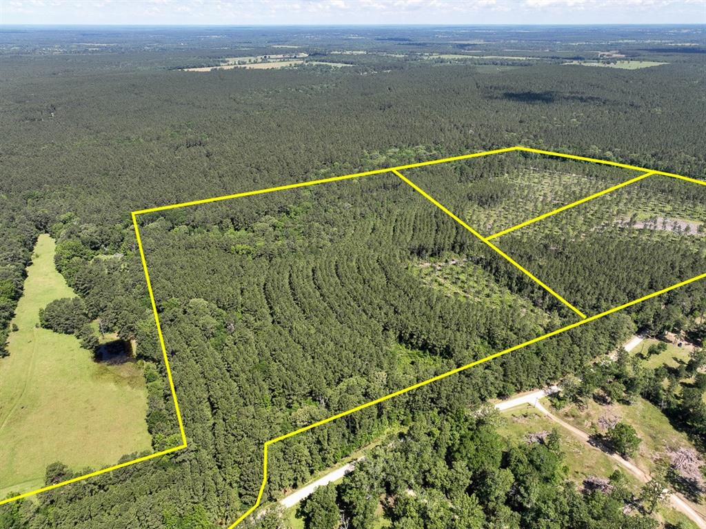 36 Westville Road, Groveton, Texas image 2