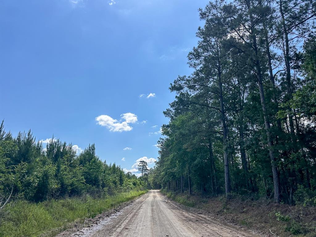 36 Westville Road, Groveton, Texas image 8