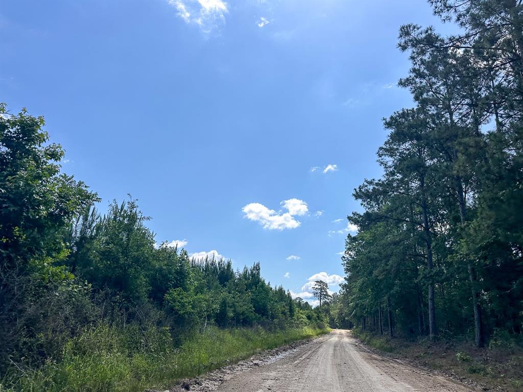 36 Westville Road, Groveton, Texas image 7