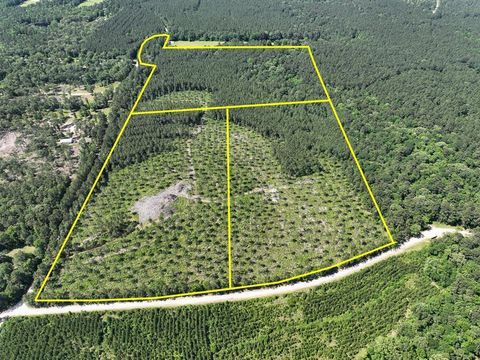 Vacant Land For Sale - 36 Westville Road<br/> Trinity County, Groveton, TX 75854