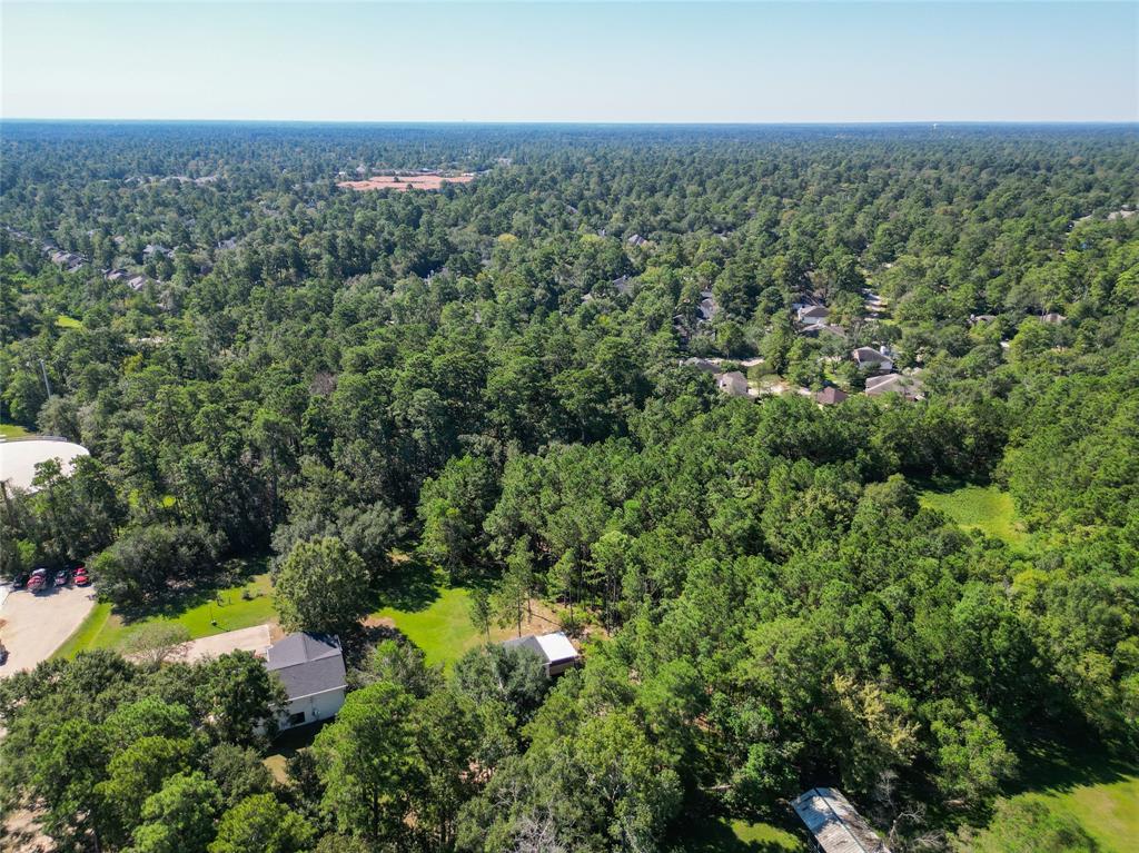 33203 Buckshot Lane, Magnolia, Texas image 45