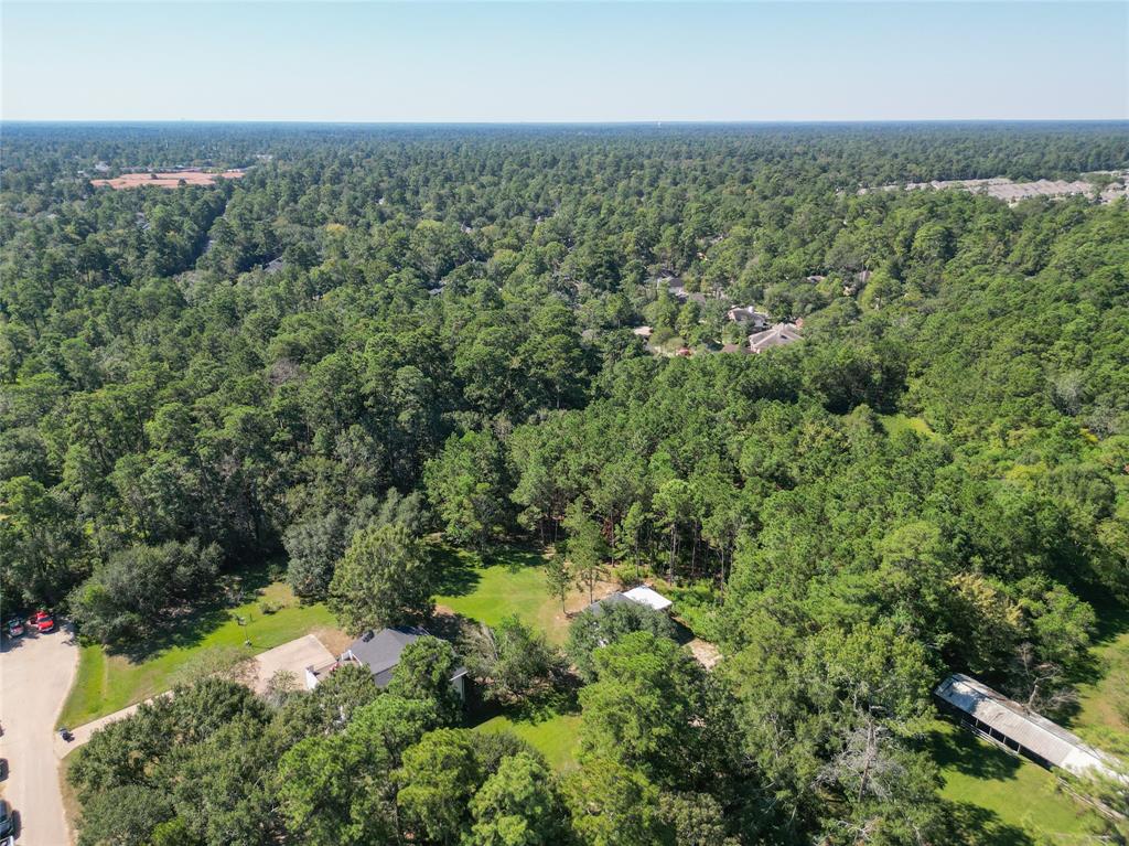 33203 Buckshot Lane, Magnolia, Texas image 49