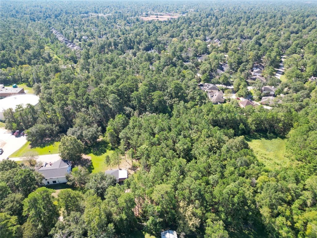 33203 Buckshot Lane, Magnolia, Texas image 50