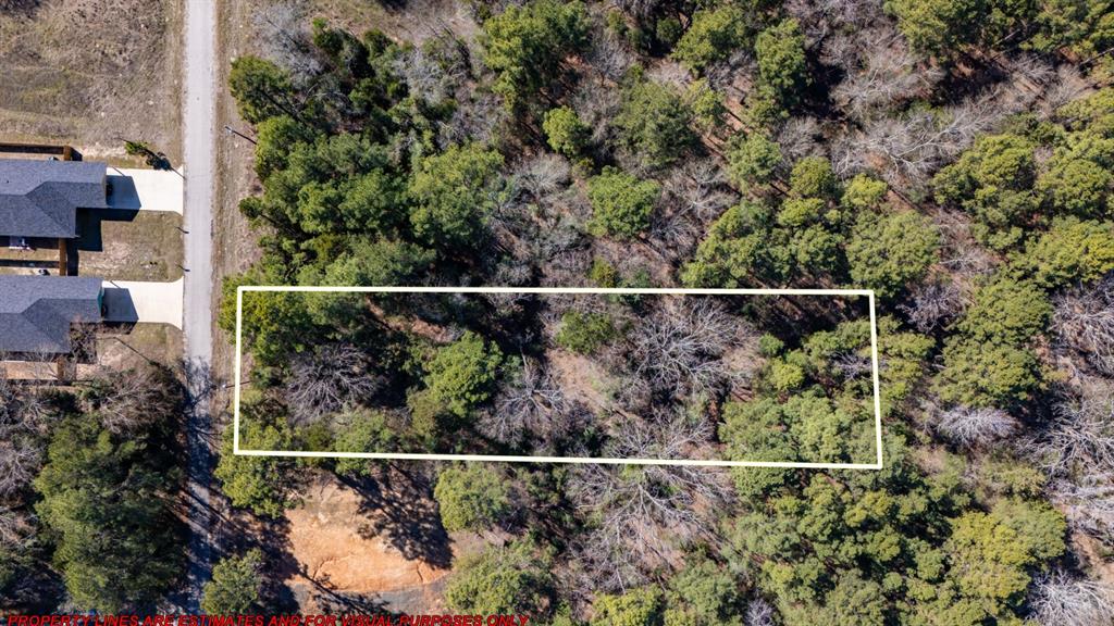 335 Perdanales Drive, Bullard, Texas image 2