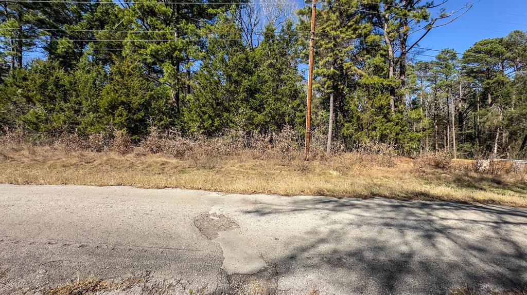 335 Perdanales Drive, Bullard, Texas image 4