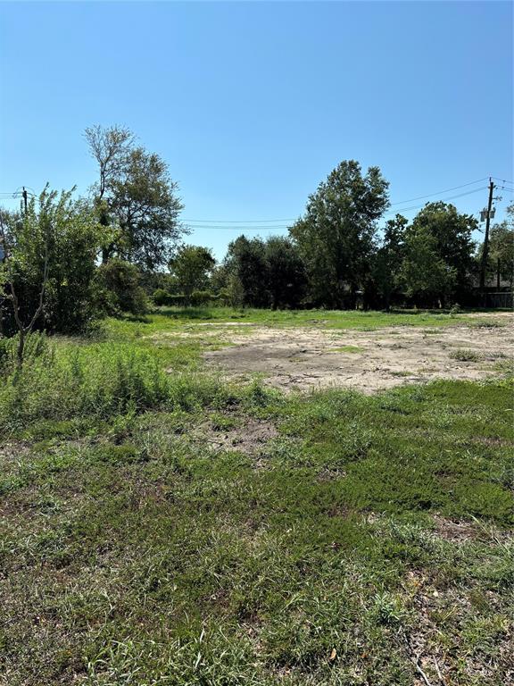 3521 N Braeswood Boulevard, Houston, Texas image 5