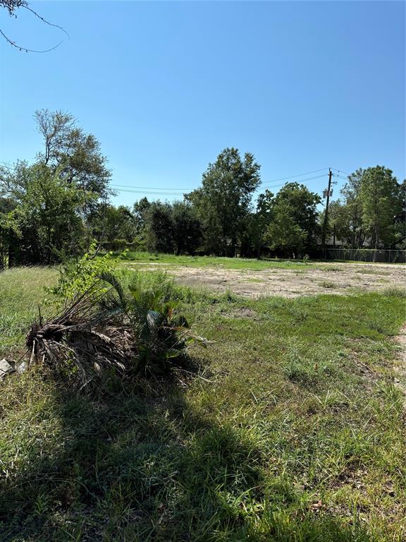 3521 N Braeswood Boulevard, Houston, Texas image 6