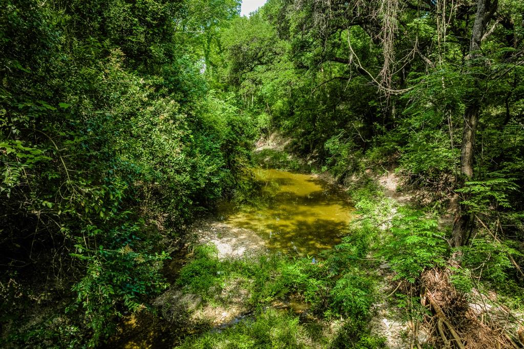 Tract 2 Artesian Pakr Ln, Brenham, Texas image 10